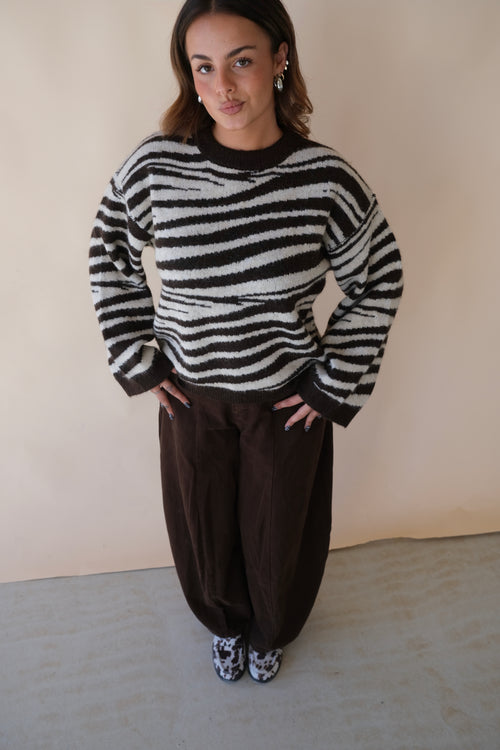 Pull Zèbre