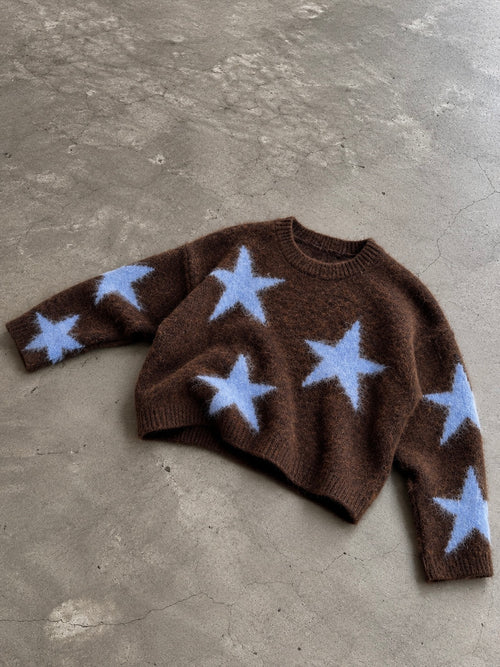 brown star sweater