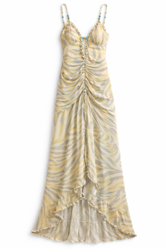 Golden Zebra dress