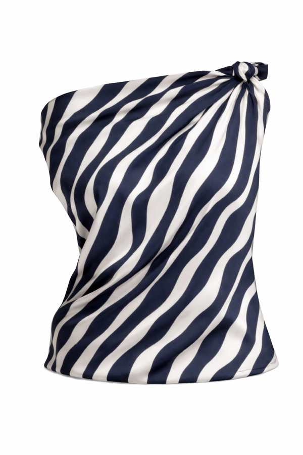 Top Zebra