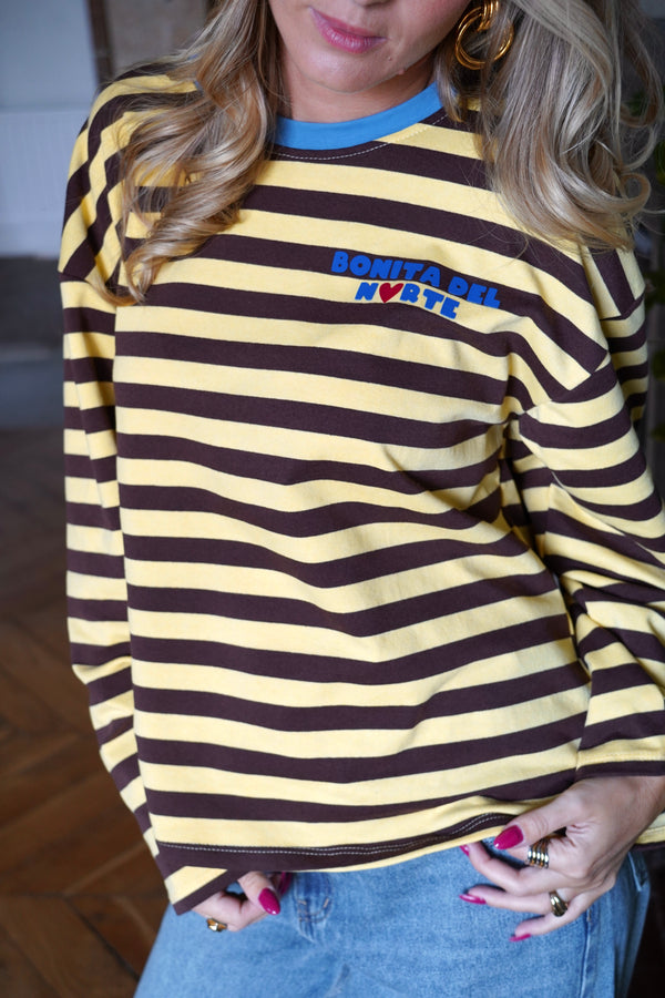Yellow and chocolate striped t-shirt